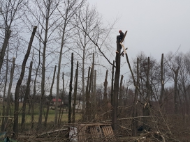 Wycinka drzew. Świat Zieleni. Usługi ogrodnicze. Pielęgnacja zieleni.